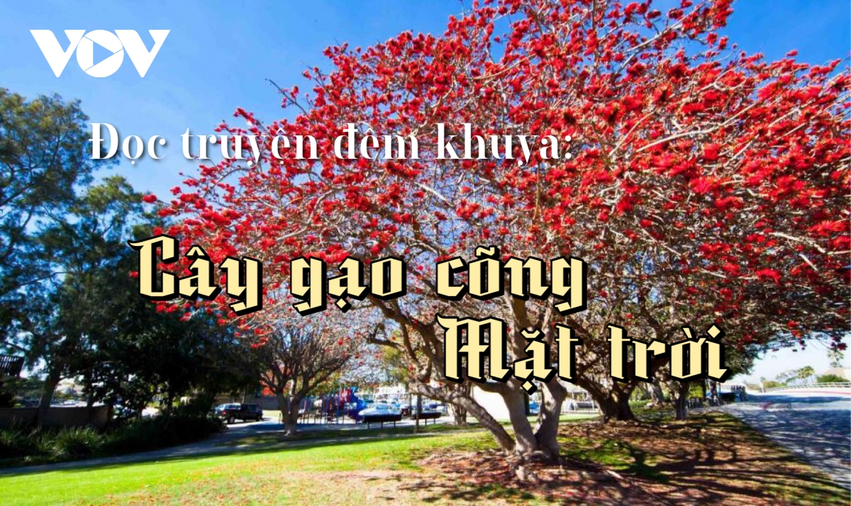 Anh em nhà nhện trong truyện "Cây gạo cõng mặt trời"